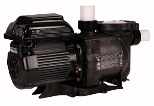 PENTAIR SuperMax® VS Variable Speed Pump 1.5HP 115/208-230